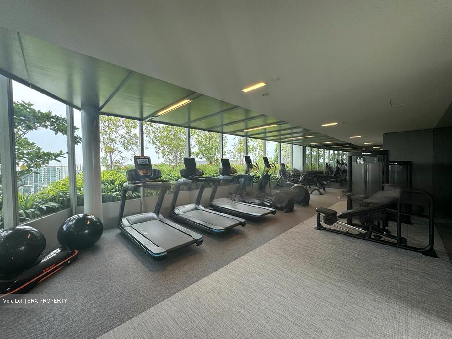 Amber Park (D15), Condominium #575834211